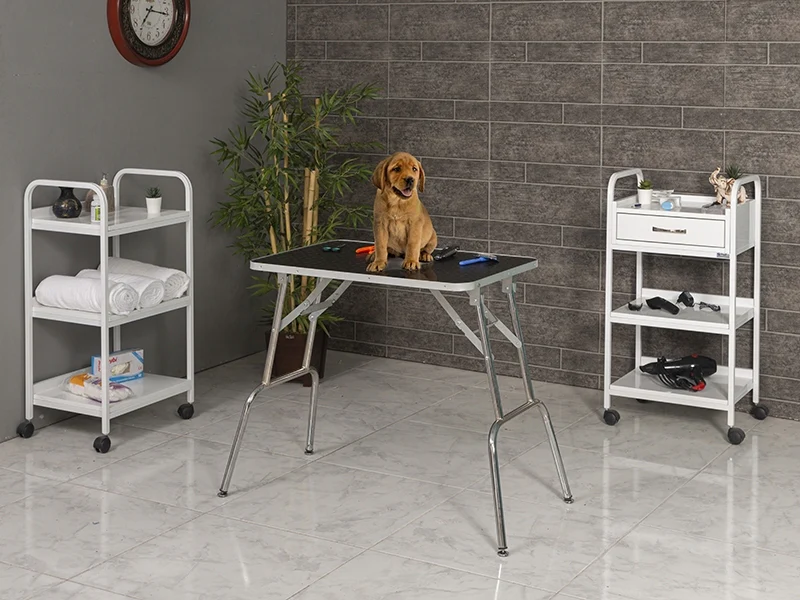 Veterinary Grooming and Examination Table | TrioCare-6003