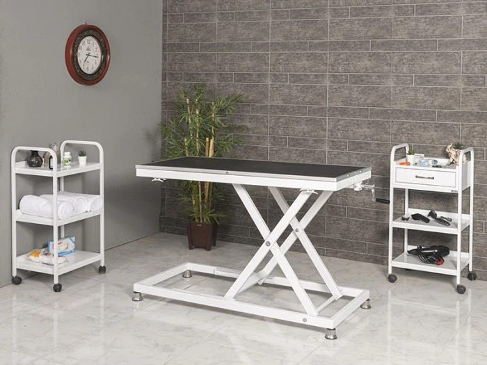 Veterinary Grooming and Examination Table | TrioCare-6008