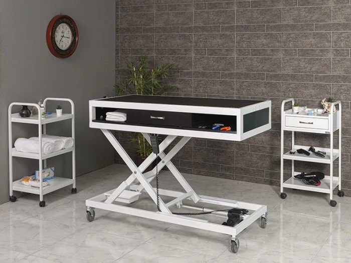 Veterinary Grooming and Examination Table | TrioCare-6010