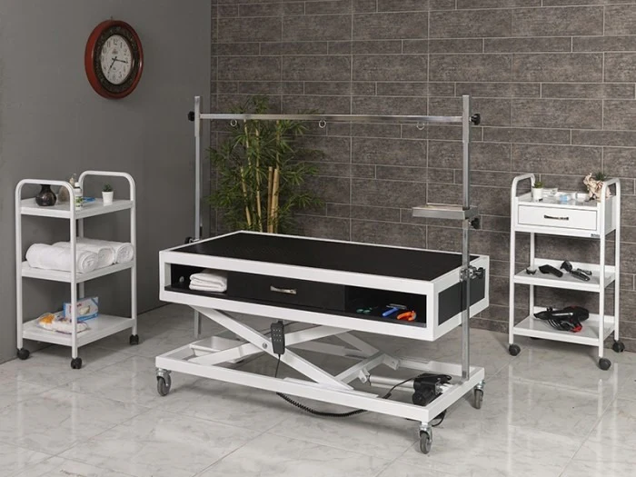 Veterinary Grooming and Examination Table | TrioCare-6010