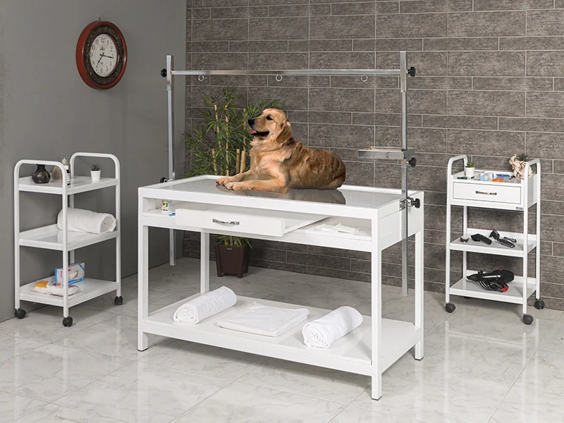 Veterinary X-Ray Table | TrioCare-6201