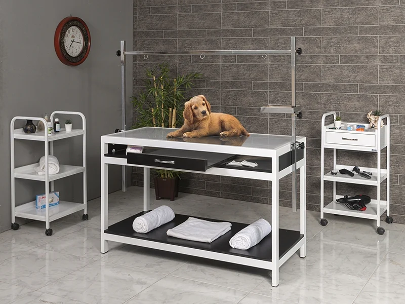 Veterinary X-Ray Table | TrioCare-6202