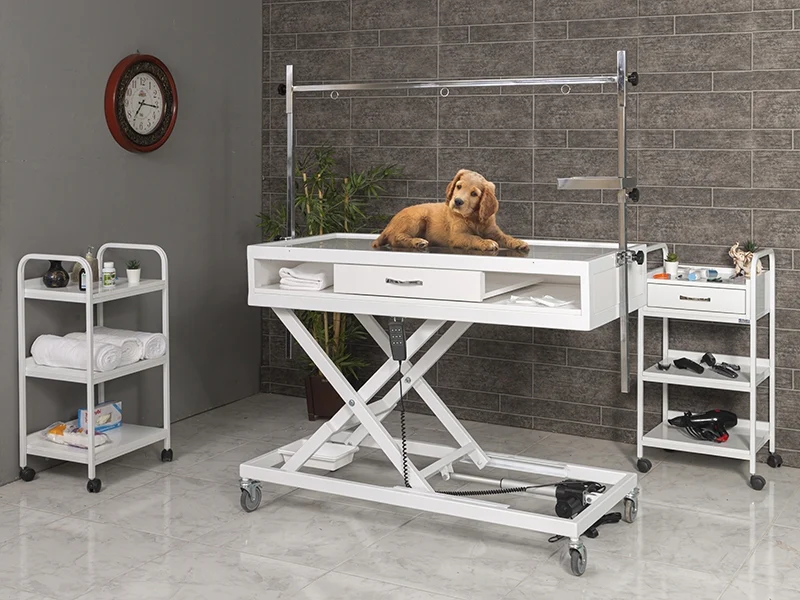 Veterinary X-Ray Table | TrioCare-6203