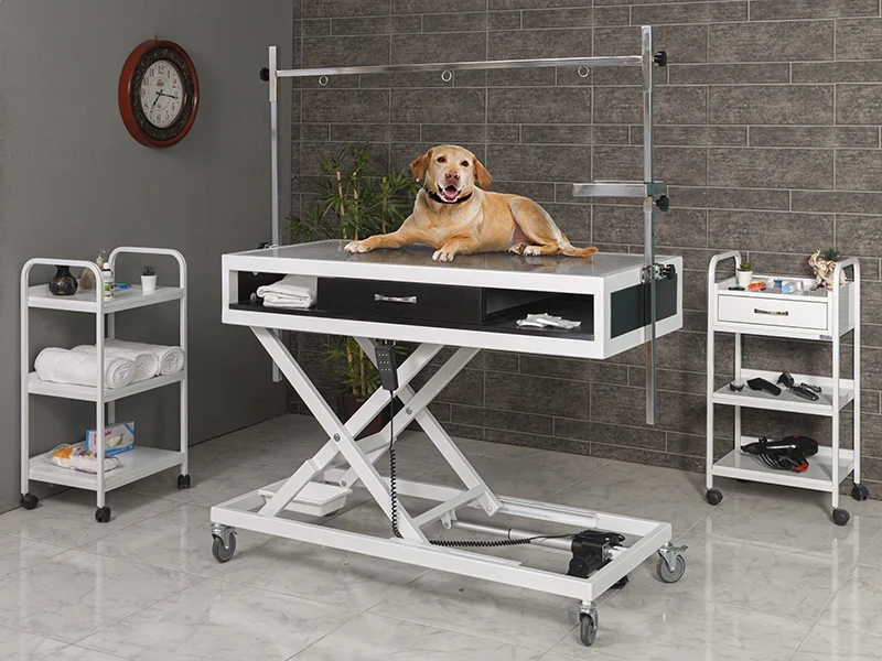 Veterinary X-Ray Table | TrioCare-6204