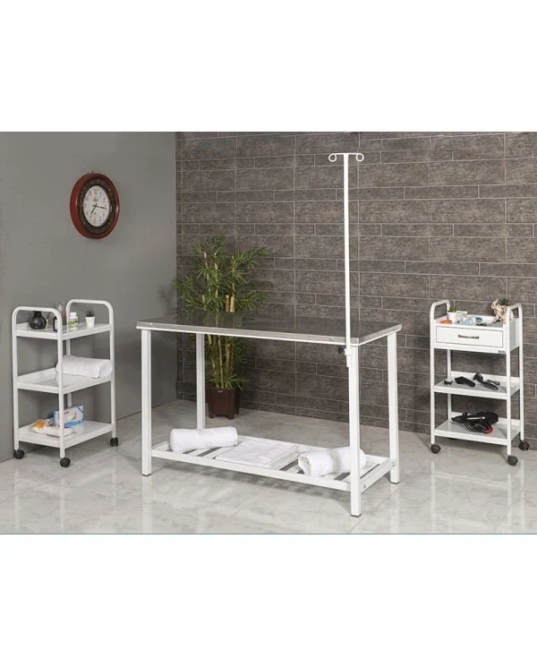 Veterinary Surgical and Operating Table | TrioCare-6101