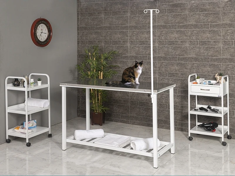 Veterinary Surgical and Operating Table | TrioCare-6101