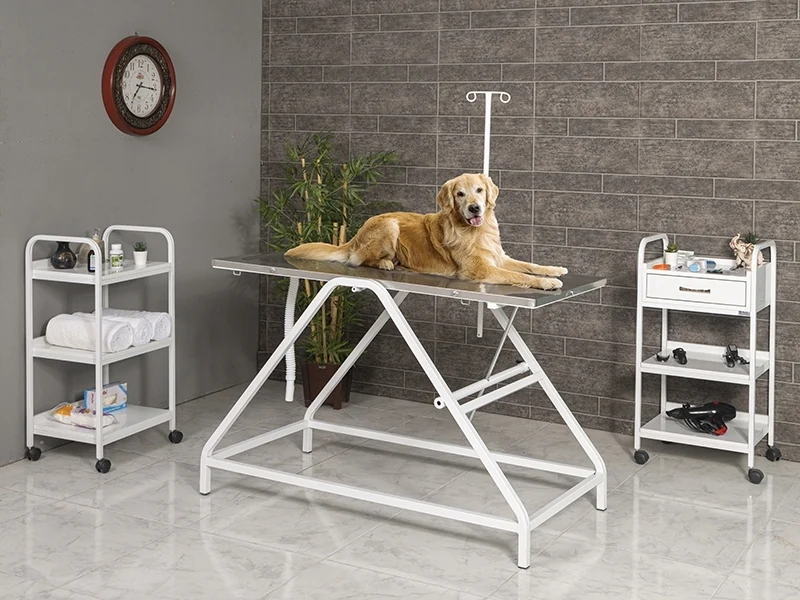 Veterinary Surgical and Operating Table | TrioCare-6102