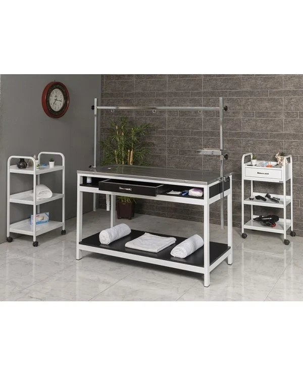 Veterinary Surgical and Operating Table | TrioCare-6105