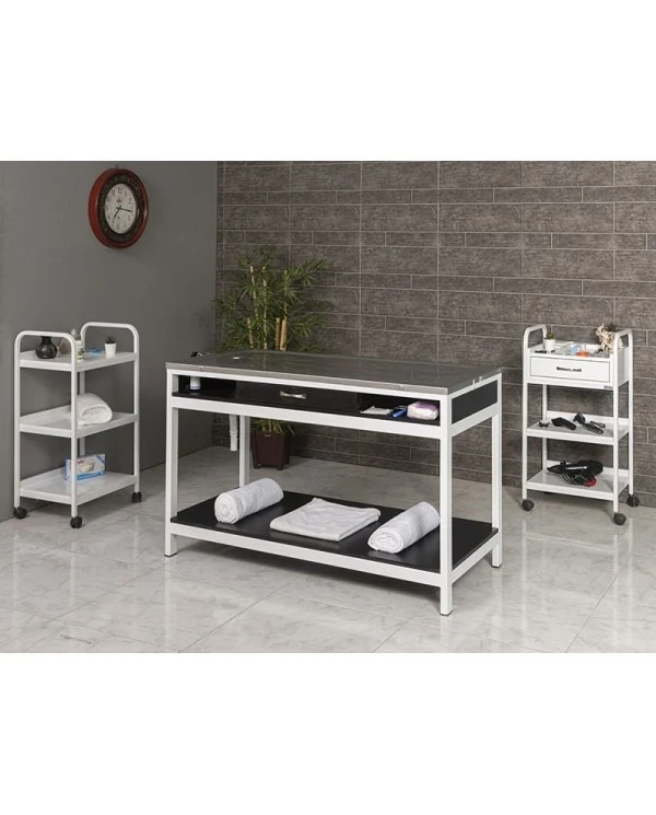 Veterinary Surgical and Operating Table | TrioCare-6105