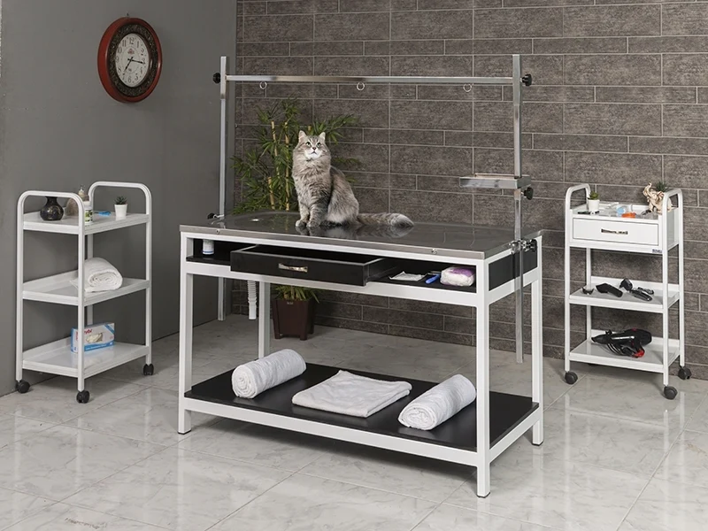 Veterinary Surgical and Operating Table | TrioCare-6105