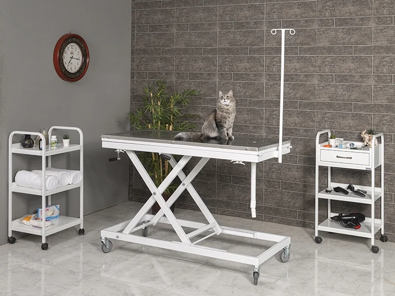 Veterinary Surgical and Operating Table | TrioCare-6106