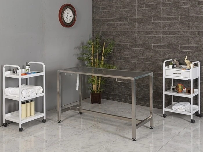Veterinary Table - Fully Stainless Steel | TrioCare-6302
