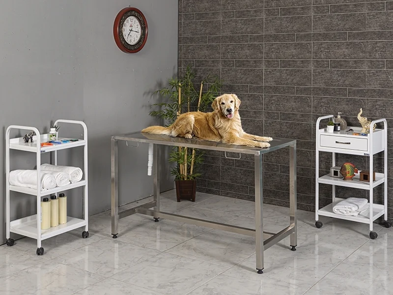 Veterinary Table - Fully Stainless Steel | TrioCare-6302