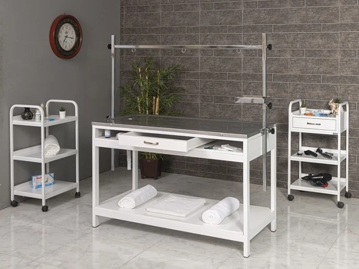 Veterinary Surgical and Operating Table | TrioCare-6104
