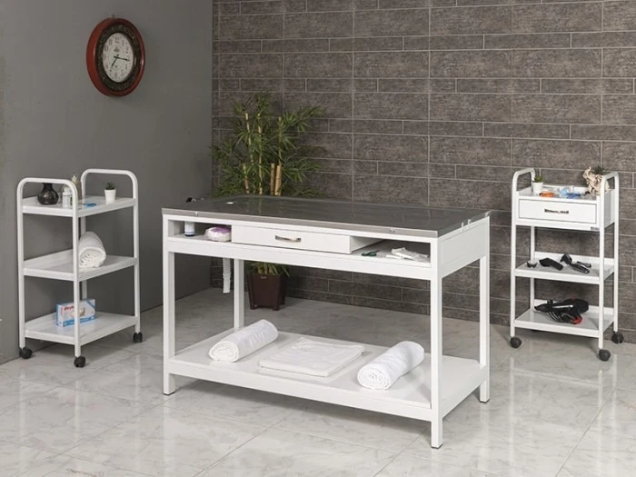 Veterinary Surgical and Operating Table | TrioCare-6104