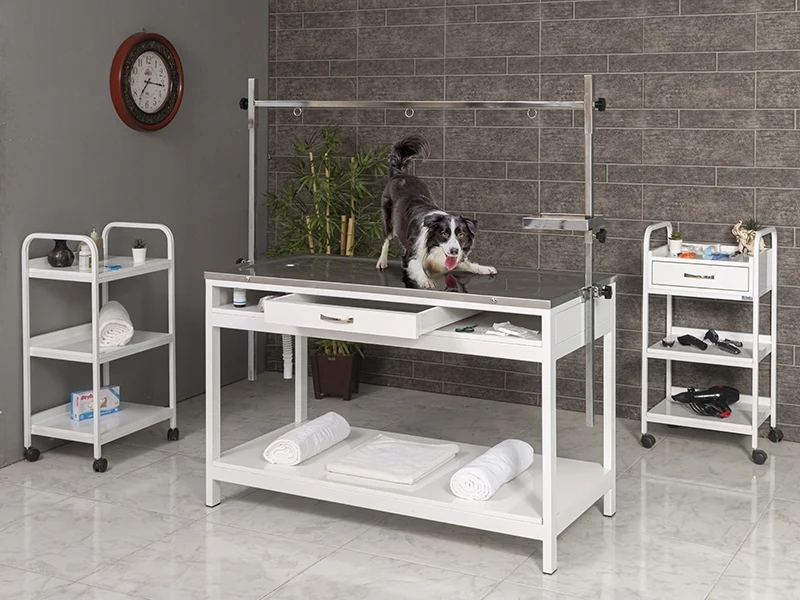 Veterinary Surgical and Operating Table | TrioCare-6104